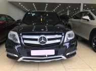 Mercedes-Benz CLK class 220 CDI 4Matic 2013 - Bán Mercedes 220 CDI 4Matic đời 2013, màu đen, xe nhập giá 1 tỷ 130 tr tại Hà Nội