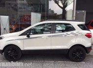 Ford EcoSport 2017 - Bán xe Ford EcoSport đời 2017, màu trắng, nhập khẩu chính hãng giá 200 triệu tại Cà Mau