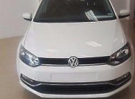 Volkswagen Polo   2015 - Bán Volkswagen Polo năm 2015, màu trắng, nhập khẩu   giá 657 triệu tại Đắk Lắk