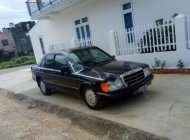 Mercedes-Benz E class E190 1990 - Cần bán gấp Mercedes E190 1990, màu đen, xe nhập giá 55 triệu tại Lâm Đồng