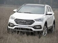 Hyundai Santa Fe 2017 - Cần bán xe Hyundai Santa Fe đời 2017, màu trắng giá 1 tỷ 30 tr tại Hậu Giang