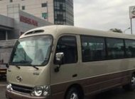Lincoln Limousine 2017 - HOT Xe khách hyundai county LIMOUSINE 29 chỗ 2017,giá rẻ, KM hấp dẫn,mua TRẢ GÓP giá 1 tỷ 160 tr tại Hà Nội