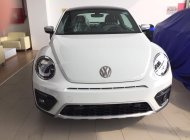 Volkswagen Beetle 2017 - Beetle cuốn hút mọi ánh nhìn, Queen Car giá 1 tỷ 468 tr tại Bình Dương