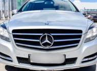 Mercedes-Benz R class   3.0 AT  2011 - Bán Mercedes 3.0 AT đời 2011, màu bạc, xe nhập giá 1 tỷ 200 tr tại Hà Nội
