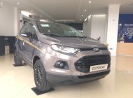 Ford EcoSport 2018 - Bán xe Ford EcoSport (xe 2017). Giá xe chưa giảm, LH Hotline báo giá xe Ford 2018 rẻ nhất: 093.114.2545 - 097.140.7753 giá 530 triệu tại Quảng Ngãi