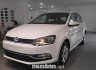 Volkswagen Polo 2017 - Bán ô tô Volkswagen Polo sản xuất 2017, màu trắng, nhập khẩu nguyên chiếc giá cạnh tranh giá 690 triệu tại Đồng Nai