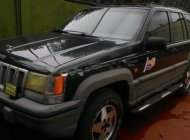 Jeep Grand Cheroke 1994 - Bán ô tô Jeep Grand Cheroke 1994, xe nhập, giá chỉ 165 triệu giá 165 triệu tại Tp.HCM