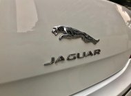 Jaguar XJ 2.0 2014 - Chính chủ bán xe Jaguar XJ 2.0 đời 2014, màu trắng, xe nhập giá 2 tỷ 980 tr tại Hà Nội