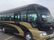 Lincoln Limousine 2017 - Bán County Limousine thân dài 2017 nhập khẩu giá 1 tỷ 320 tr tại Hà Nội