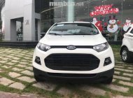 Ford EcoSport 2017 - Bán xe Ford EcoSport đời 2017, màu trắng, nhập khẩu, 650tr giá 650 triệu tại Đồng Tháp