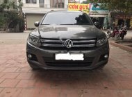 Volkswagen Tiguan 2.0TSI 2014 - Cần bán Volkswagen Tiguan 2.0TSI 2014, màu xám, nhập khẩu, 850 triệu giá 850 triệu tại Hà Nội
