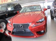 Lexus LS 250 2013 - Bán ô tô Lexus LS 250 đời 2013, màu đỏ, nhập khẩu nguyên chiếc số tự động giá 2 tỷ 100 tr tại Tp.HCM