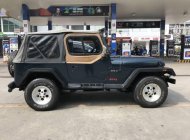 Jeep Wrangler     1992 - Bán xe Jeep Wrangler năm sản xuất 1992, nhập khẩu   giá 310 triệu tại Tp.HCM