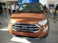 Ford EcoSport 1.0 Ecoboost  2018 - Bán ô tô Ford EcoSport 1.0 Ecoboost đời 2018, màu nâu, xe nhập giá 689 triệu tại Bắc Kạn