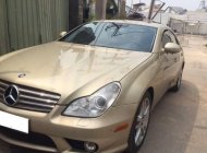 Mercedes-Benz CLS class   CLS 500 2005 - Bán xe Mercedes CLS 500 sản xuất 2005, màu vàng, nhập khẩu giá 535 triệu tại Tp.HCM