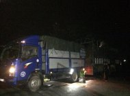 Xe tải 5 tấn - dưới 10 tấn 2016 - Bán ô tô xe tải 5 tấn - dưới 10 tấn 2016, màu xanh lam chính chủ, giá tốt giá 350 triệu tại Thái Bình