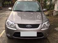 Ford Escape XLS  2015 - Bán ô tô Ford Escape XLS đời 2015, màu xám giá 445 triệu tại Tp.HCM