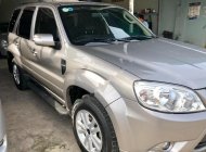 Ford Escape XLS 2013 - Bán xe Ford Escape XLS năm sản xuất 2013, màu bạc   giá 510 triệu tại Tp.HCM