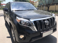 Toyota Prado 2014 - Bán Toyota Prado đời 2015, màu đen, nhập khẩu giá 1 tỷ 760 tr tại Nam Định