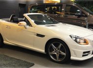 Mercedes-Benz SLK class SLK 350 2017 - Bán Mercedes Benz SLK 350 đời 2017 - Giá đặc biệt - Nhiều ưu đãi giá 3 tỷ 599 tr tại Tp.HCM