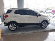 Ford EcoSport 2018 - Cần bán lại xe Ford EcoSport 2018, màu trắng  giá 593 triệu tại Sóc Trăng