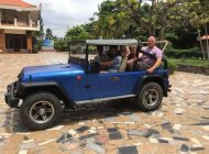 Jeep Wrangler   1980 - Cần bán lại xe Jeep Wrangler đời 1980, màu xanh lam giá cạnh tranh giá 150 triệu tại Bình Thuận  