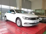 Volkswagen Passat S 2015 - Bán Passat S, xe nhập khẩu Đức, giá tốt nhất Việt Nam, LH: 0901933522 - Đừng mua xe khi chưa đọc tin này giá 1 tỷ 200 tr tại Hà Nội