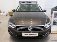 Volkswagen Passat bluemotion 2018 - Cần bán Volkswagen Passat bluemotion sản xuất 2018, màu nâu, nhập khẩu nguyên chiếc giá 1 tỷ 480 tr tại BR-Vũng Tàu