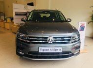 Volkswagen Tiguan Allspace 2018 - Bán Volkswagen Tiguan Allspace Đức nhập khẩu, chỉ 371 triệu, là có thể sở hữu xe Đức, LH em để có giá sập sàn 0942 050 350 giá 1 tỷ 699 tr tại Ninh Thuận