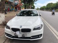 BMW 1 Cũ  5 520i 206 2016 - Xe Cũ BMW 5 520i 2016 giá 1 tỷ 690 tr tại