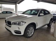 BMW X6   2018 - Bán xe BMW X6 năm 2018, màu trắng, nhập khẩu giá 3 tỷ 249 tr tại Tp.HCM