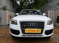 Audi Q5 2.0 T 2009 - Bán Audi Q5 2.0 T sản xuất 2009 giá 920 triệu tại Tp.HCM