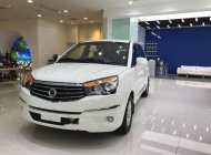 Ssangyong Stavic 2017 - Bán Ssangyong Stavic đời 2017, màu trắng, nhập khẩu   giá 930 triệu tại Tp.HCM
