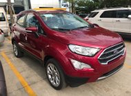 Ford EcoSport  1.0L AT Titanium 2018 - Bán Ford Ecosport Titanium tại Điện Biên giao ngay, đủ màu, giảm cực mạnh, hỗ trợ 80%, 8 năm - LH: 0942552831 giá 689 triệu tại Điện Biên