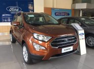 Ford EcoSport 1.5L AT Ambiente 2018 - Bán Ford Ecosport Titanium tại Lạng Sơn giao ngay, đủ màu, giảm cực mạnh, hỗ trợ 80%, 8 năm - LH: 0942552831 giá 569 triệu tại Lạng Sơn