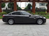 BMW 5 Series  520i 2015 - Bán xe BMW 5 Series 520i sản xuất năm 2015, màu đen  giá 1 tỷ 600 tr tại Bắc Ninh