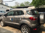 Ford EcoSport Titanium 2018 - Bán Ecosport 2018 Titanium, màu xám ghi, hỗ trợ trả góp tại Cao Bằng LH: 0941921742 giá 605 triệu tại Cao Bằng