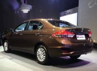 Suzuki Ciaz 2018 - Bán Suzuki Ciaz 2018, màu nâu, nhập khẩu nguyên chiếc giá 499 triệu tại Lâm Đồng