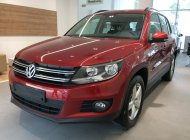 Volkswagen Tiguan 2018 - Bán Volkswagen Tiguan sản xuất 2018, màu đỏ, nhập khẩu nguyên chiếc giá 1 tỷ 699 tr tại Ninh Thuận