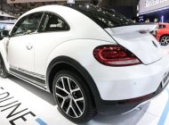 Volkswagen Beetle 2018 - Bán Volkswagen Beetle 2018, màu trắng, nhập khẩu nguyên chiếc giá 1 tỷ 469 tr tại Khánh Hòa