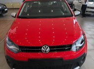 Volkswagen Polo 2018 - Cần bán xe Volkswagen Polo đời 2018, màu đỏ, xe nhập, trả trước 150 triệu giá 725 triệu tại Lâm Đồng
