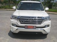Toyota Land Cruiser VX 4.6 V8 2016 - Cần bán gấp Toyota Land Cruiser VX 4.6 V8 sản xuất 2016, màu trắng, nhập khẩu nguyên chiếc giá 3 tỷ 860 tr tại Thái Nguyên