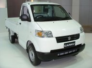 Suzuki Carry 2018 - Bán Suzuki Carry Pro 2018 nhập khẩu Idonesia giá tốt, lh: 0939298528 giá 312 triệu tại An Giang