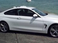 BMW 4 Series 420i  2016 - Bán xe BMW 4 Series 420i đời 2016, màu trắng, nhập khẩu nguyên chiếc giá 1 tỷ 700 tr tại Tp.HCM