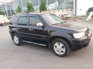 Ford Escape XLT 2004 - Bán Ford Escape XLT sản xuất 2004, màu đen  giá 159 triệu tại Hà Nội