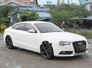 Audi A5 2013 - Bán Audi A5 nhập khẩu của Đức, chính chủ biển số Sài Gòn, bao test hãng, nội thất mới giá 1 tỷ 800 tr tại BR-Vũng Tàu