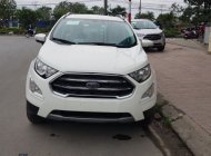 Ford EcoSport Titanium 2018 - Bán Ford EcoSport Titanium đời 2018, giá sập sàn... 0968.912.236 giá 625 triệu tại Lai Châu