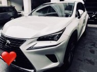 Lexus NX   300T   2017 - Bán Lexus NX 300T 2017, màu trắng, nhập khẩu giá 2 tỷ 595 tr tại Tp.HCM