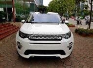 LandRover Discovery Sport HSE Luxury 2016 - Cần bán LandRover Discovery Sport HSE Luxury đời 2016, màu trắng, xe nhập giá 2 tỷ 920 tr tại Hà Nội