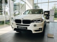 BMW X3 X-Drive 35i  2018 - BMW X5 X-Drive 35i sx 2018, sẵn xe giao ngay, hỗ trợ vay 85% giá trị xe giá 3 tỷ 599 tr tại Tp.HCM